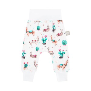 Pands -  Alpacas 